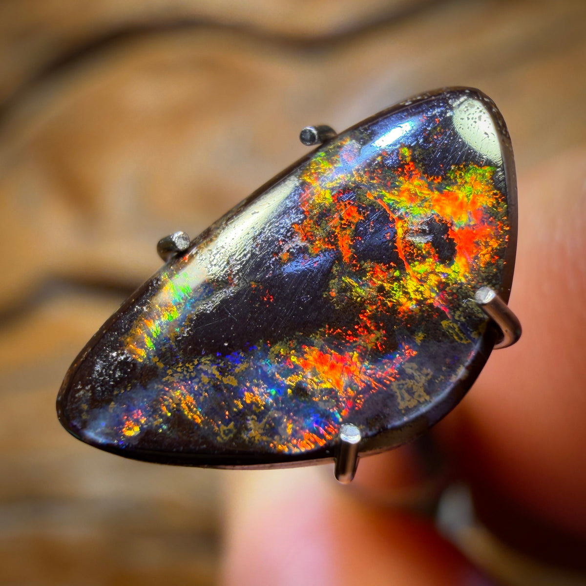 1.6cts - Red On Black Australian Boulder Opal from Yowah! As Rare as a Banger Comes!!!