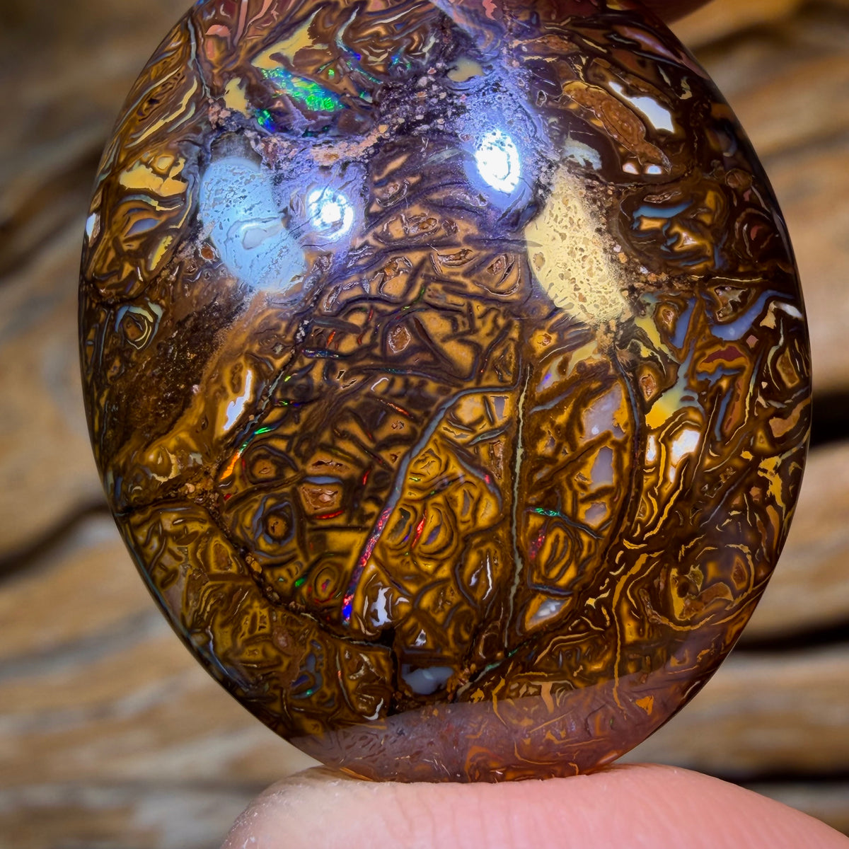 TGIF 70.9cts - Tribal Queensland Boulder Opal. Australian Opal