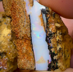 235.1cts - 3x Boulder Pipe Opal Rubs. Australian Opal Bargain under $1/ct