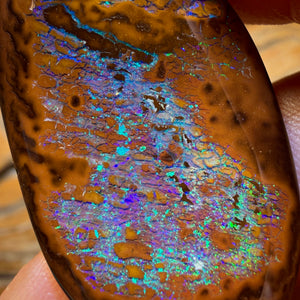 61.2cts - Top Queensland Boulder Opal from Yowah