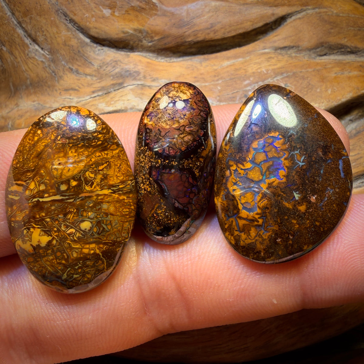 66.3cts - 3x Australian Tribal Boulder Opal’s. Wholesale Parcel
