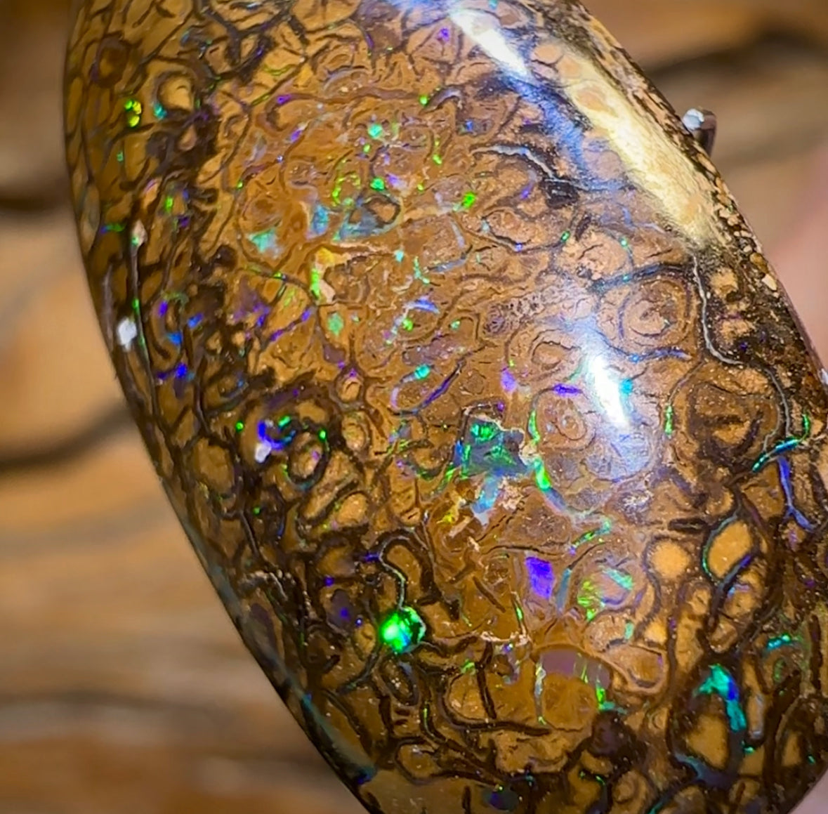 25.7cts - Electric Tan Tribal Australian Boulder Opal. Yowah Tribal - Opal Whisperers