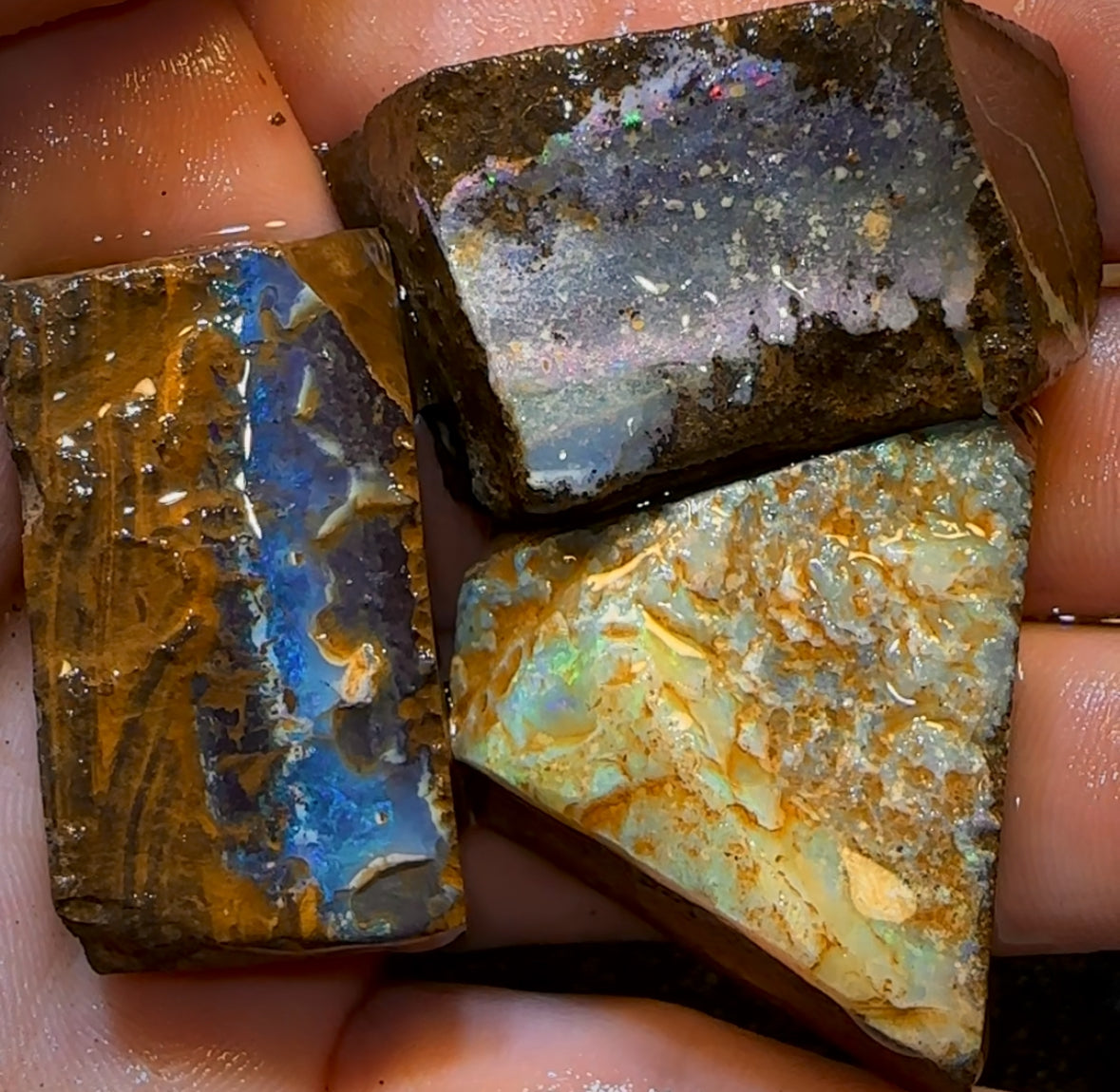 427.5cts - 3x Queensland Boulder Opal Rough Parcel from Winton