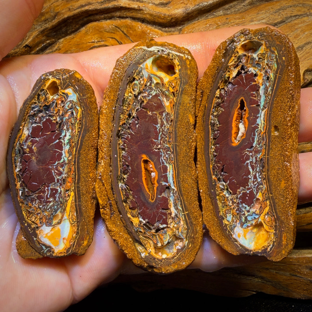 664.5cts - Tribal Yowah Nut Rough Specimen Trio