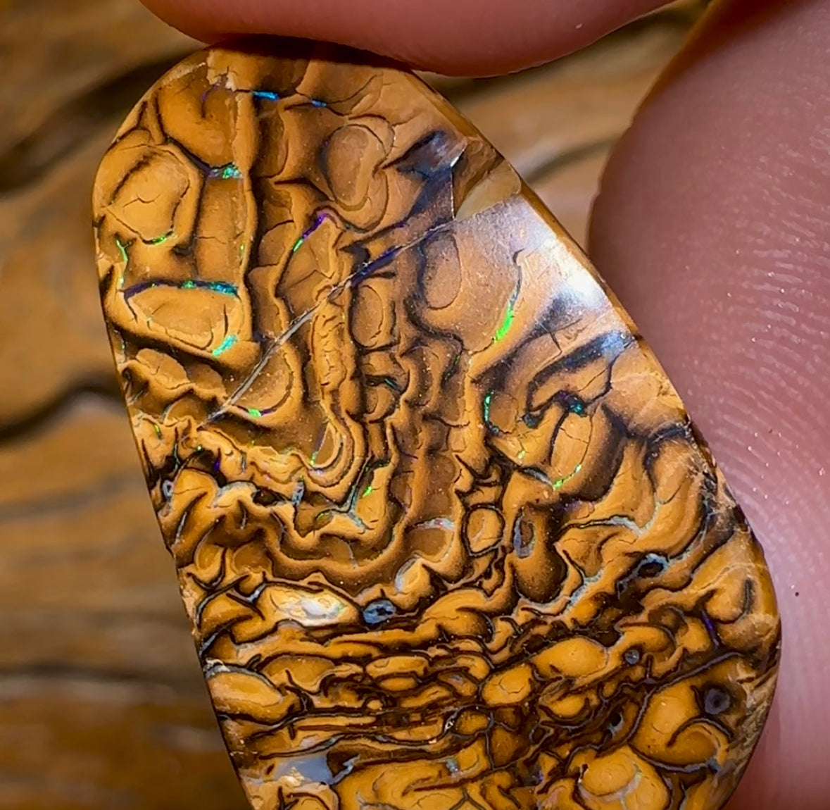 48.5cts - Yowah Nut Tribal Opal. Double Sided Tan Tribal - Opal Whisperers