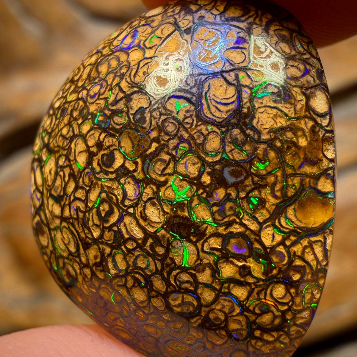 22.5cts - Tan Tribal Queensland Boulder Opal from Yowah