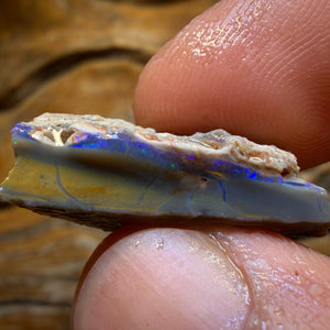 Bargain Card! 13.4cts - Lightning Ridge Dark Opal Rough Piece