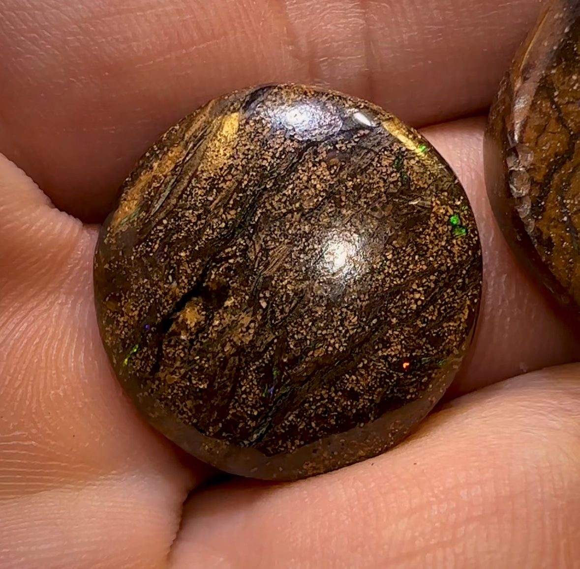 🔨 AUCTION 🔨 No Reserve 59.3cts - 3x Loose Queensland Boulder Opals. Parcel