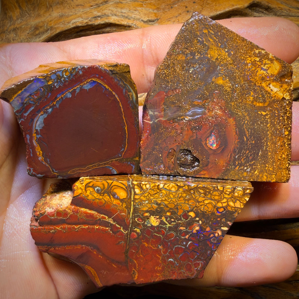 667cts - 3x Yowah Nut Rough Opal Parcel. Australian Opal