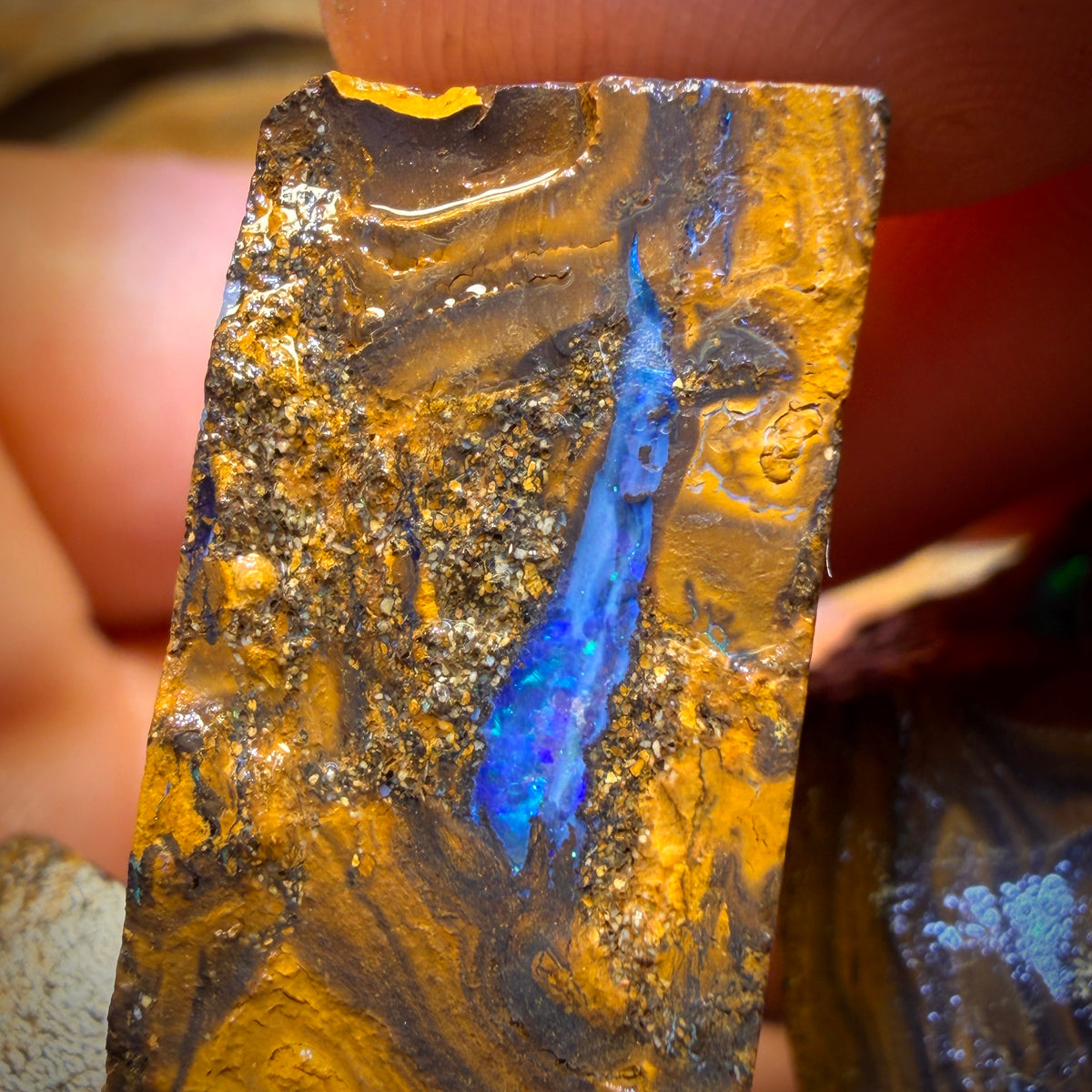 274cts - 3x Queensland Boulder Opal Rough Parcel from Duck Creek
