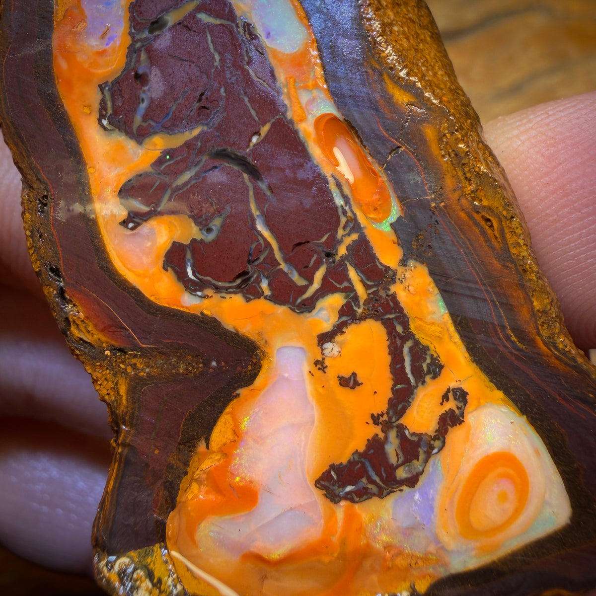 310.5cts - Yowah Nut Partial Crystal Centre Rough Specimen Pair