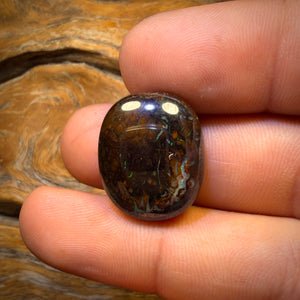 36.4cts - Tribal Yowah Nut Opal. Double Sided