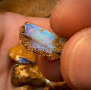 215cts - 25x Opalised Wood/Vegetation Fossil Rough Parcel from Yowah
