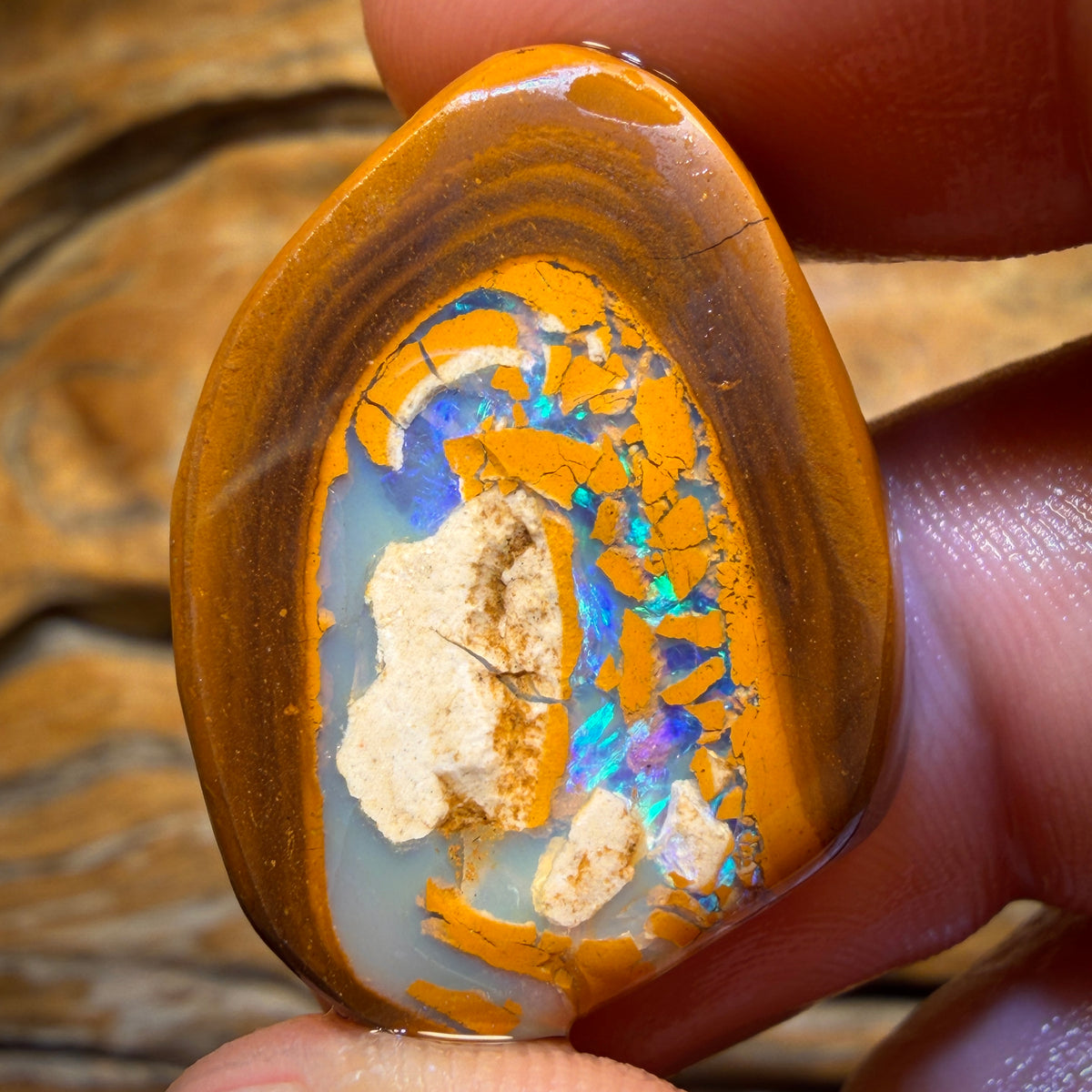 67.6cts - TOP Yowah Nut Kernel Opal Rub Double Sided! Featured on ‘OUTBACK OPAL HUNTERS’!!