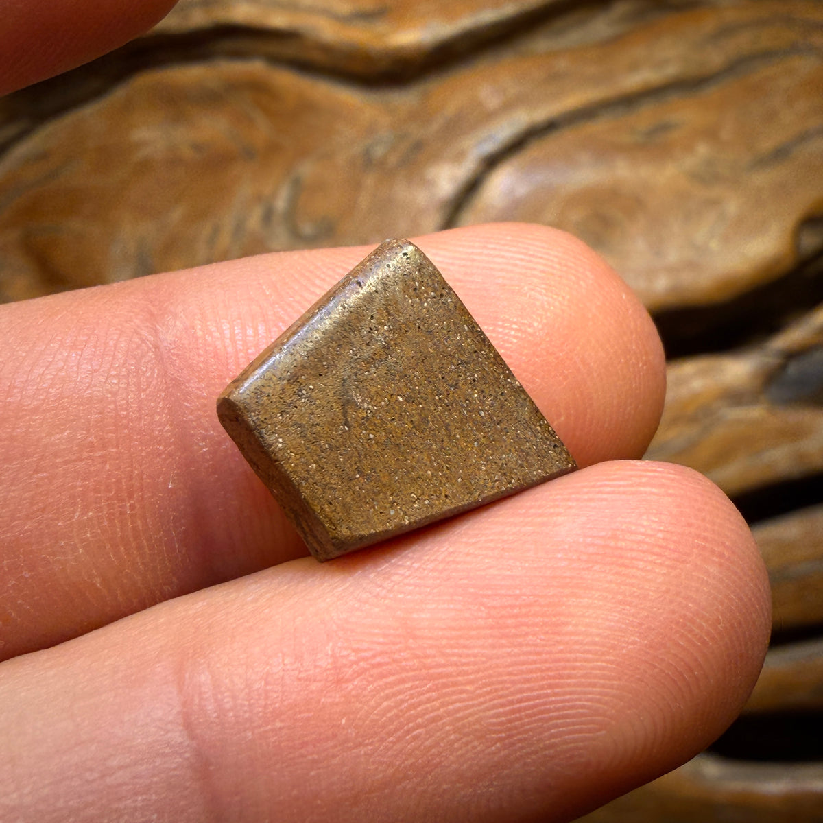 6.7cts - Queensland Boulder Seam Opal Rub