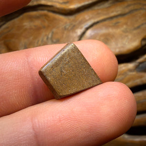 6.7cts - Queensland Boulder Seam Opal Rub