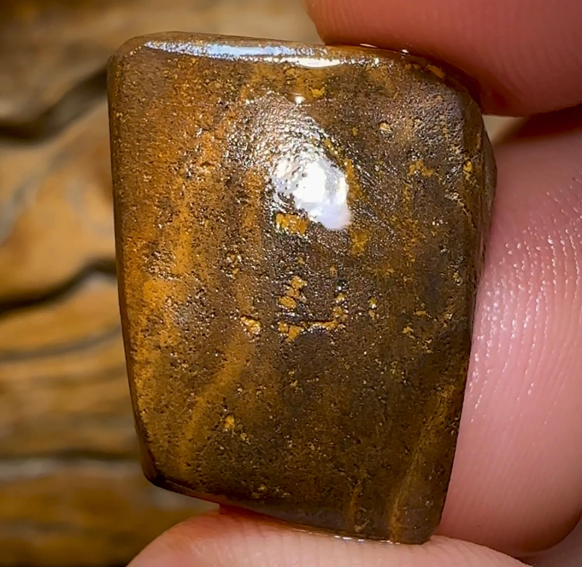 Can’t sell this online Isaac cut 30.4cts - Australian Boulder Opal Rub - Opal Whisperers