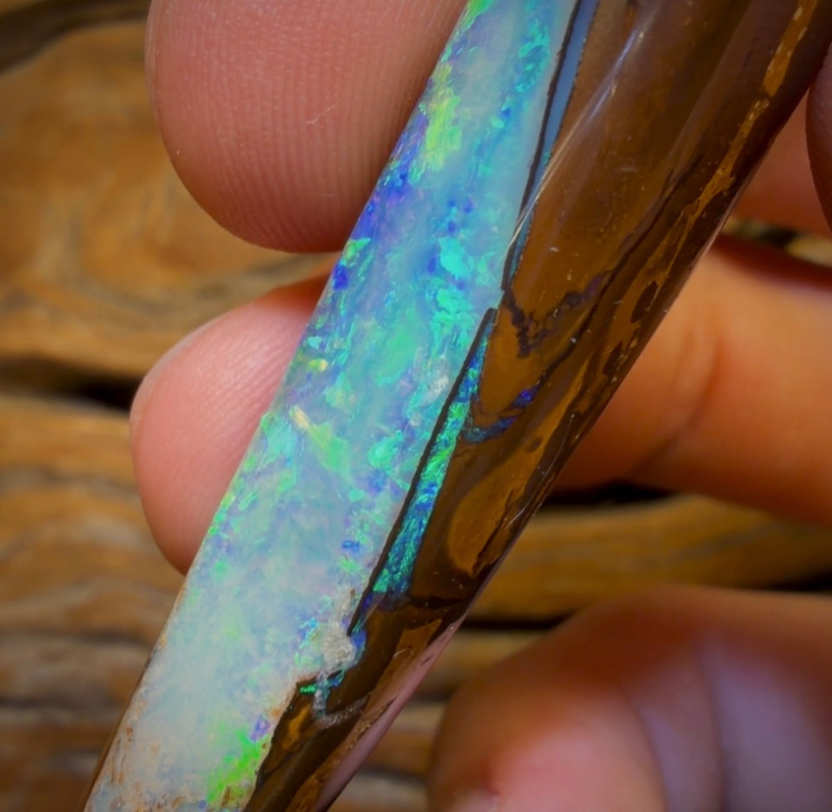 96.2cts - “Adams Rib”GEM Fossil Crystal Opal. Isaac’s Cut!