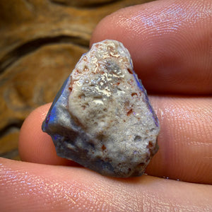 16.8cts - Lightning Ridge Opal Rough Piece