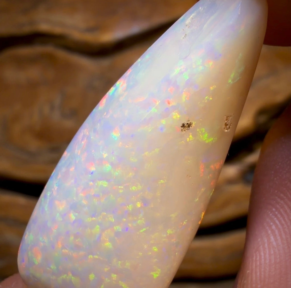 26.9cts - Olympic, South Australian White Opal