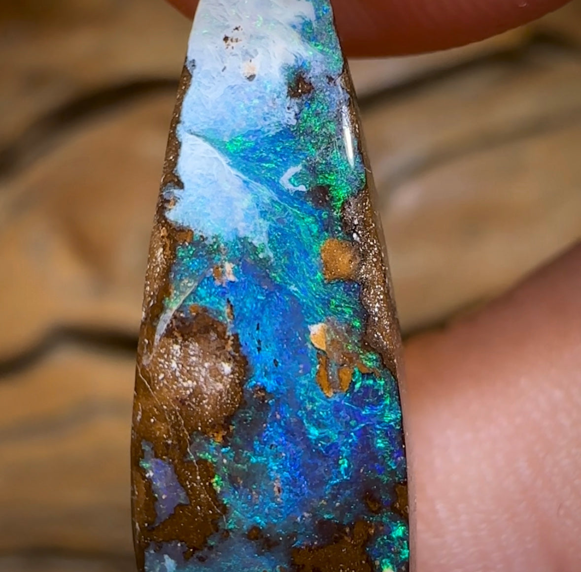 9.2cts - “Malibu” Koroit Nut Australian Boulder Opal - Opal Whisperers