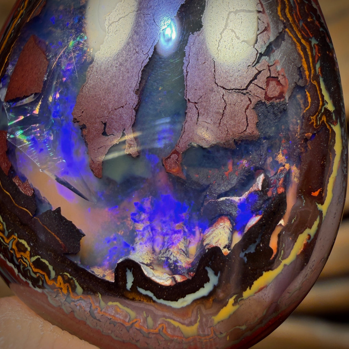 🔨 AUCTION 🔨 50.2cts - Yowah Nut Partial Crystal Centre Opal. Australian Boulder Opal