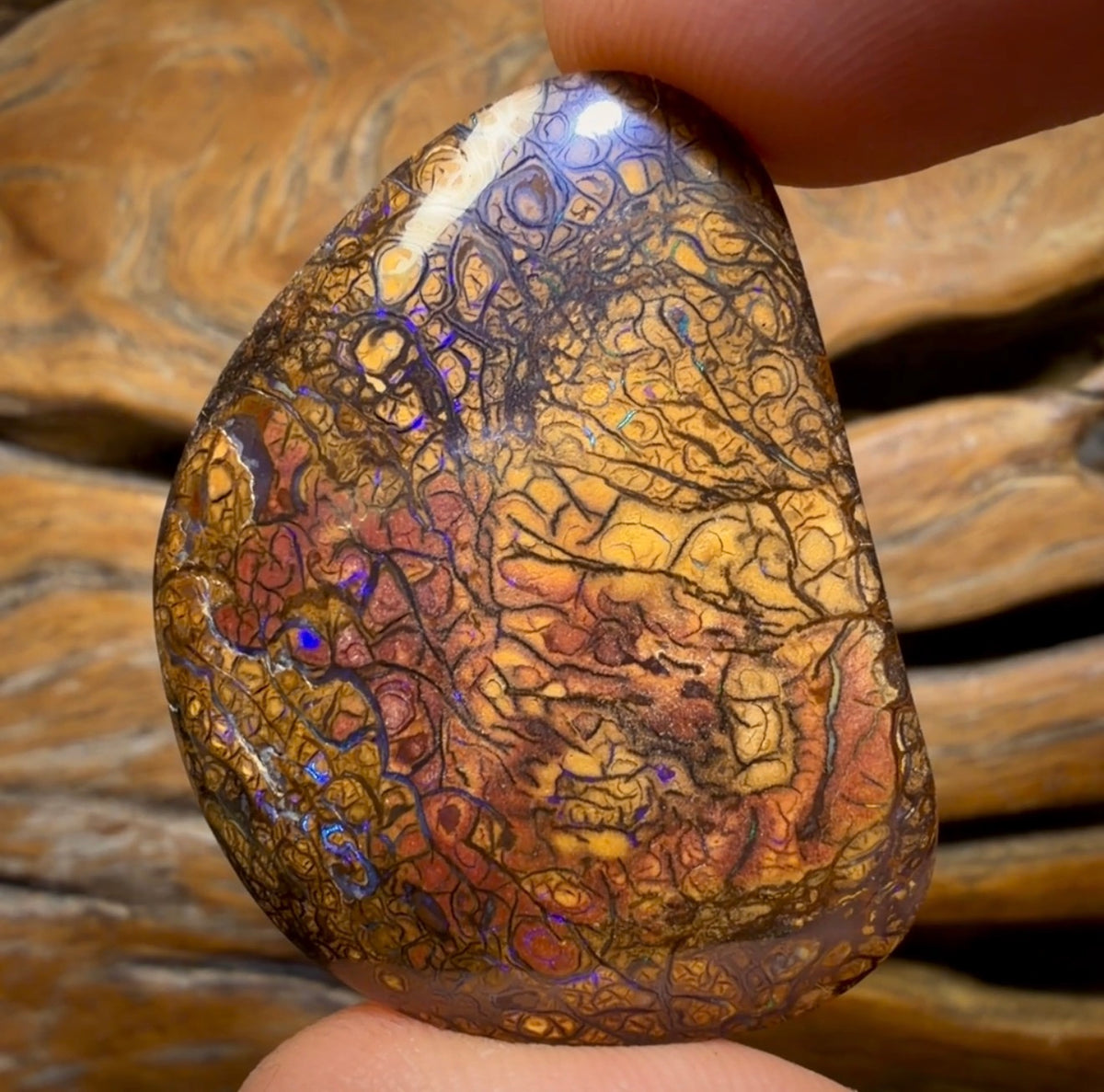 69,9 ct – Tribal Yowah Nut Opal. Australischer Opal.