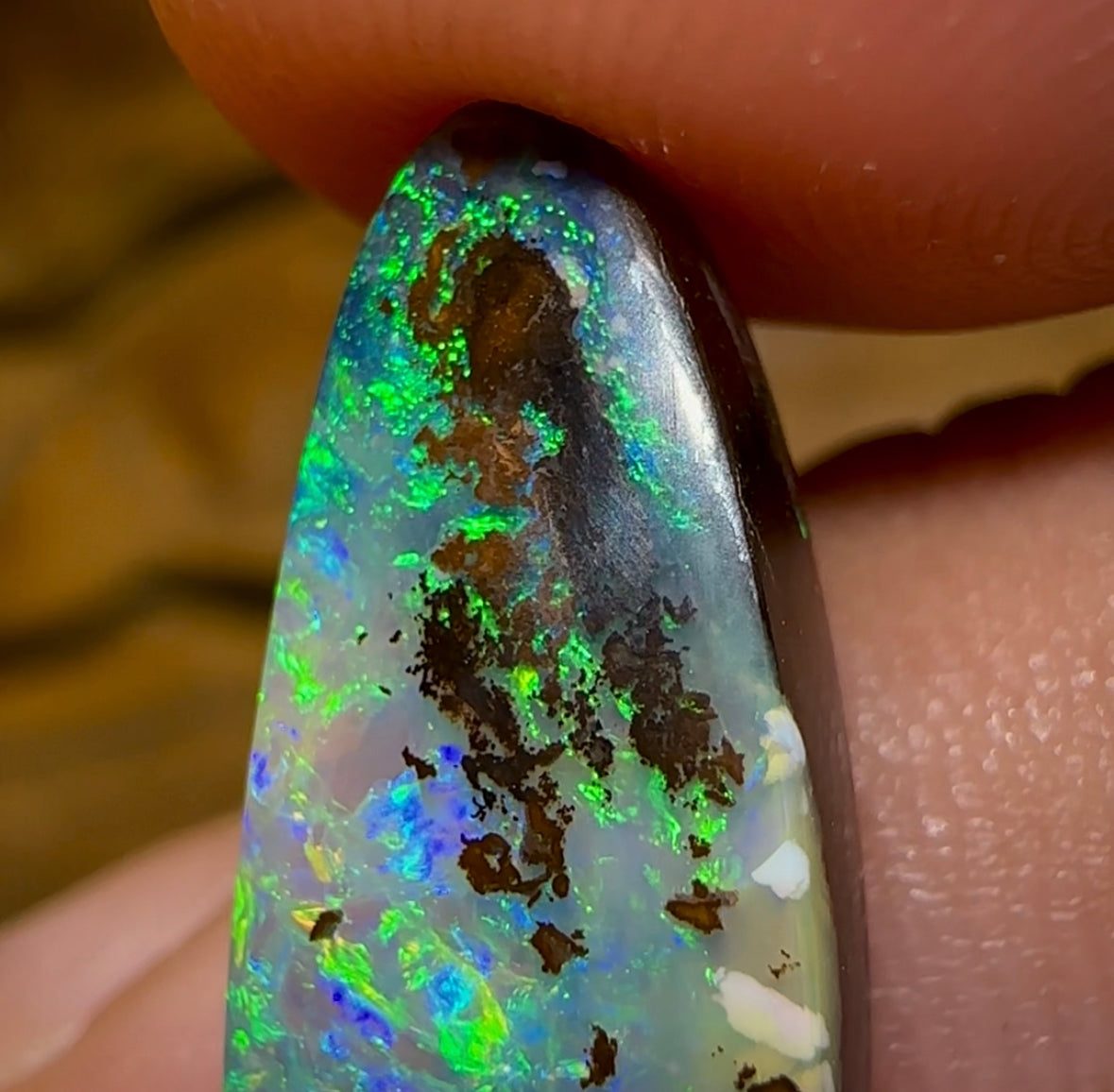 10.4cts - Yowah Opal Fossil Wood Replacement. Australian Boulder Opal - Opal Whisperers