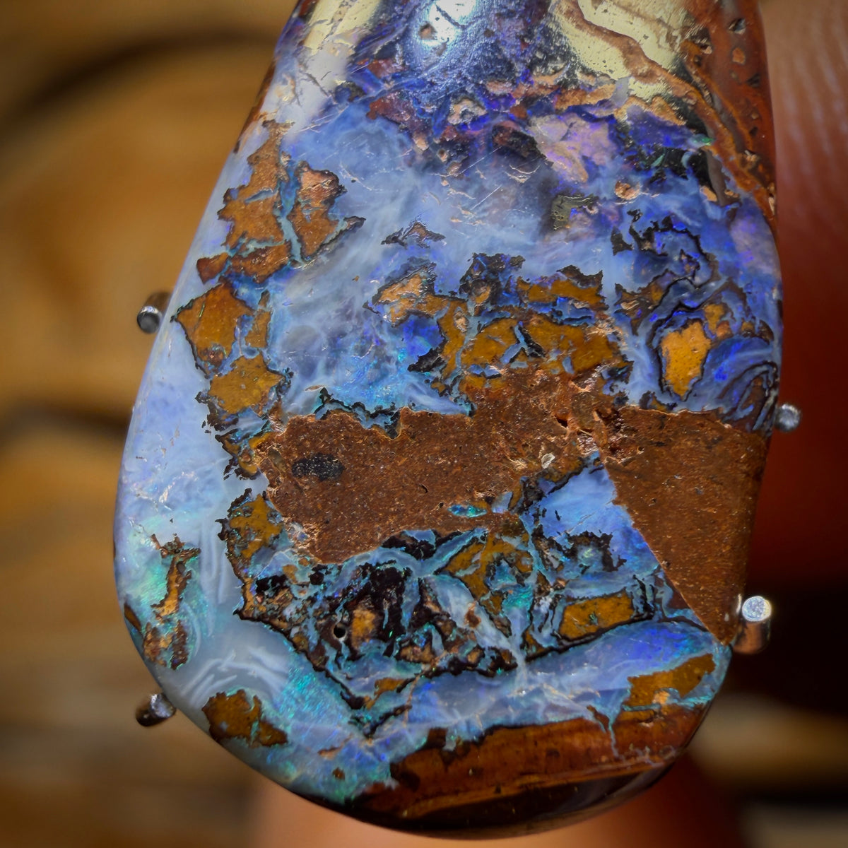 🔨 AUCTION 🔨 7.2cts - Yowah Nut Opal. Rockpool Pattern!