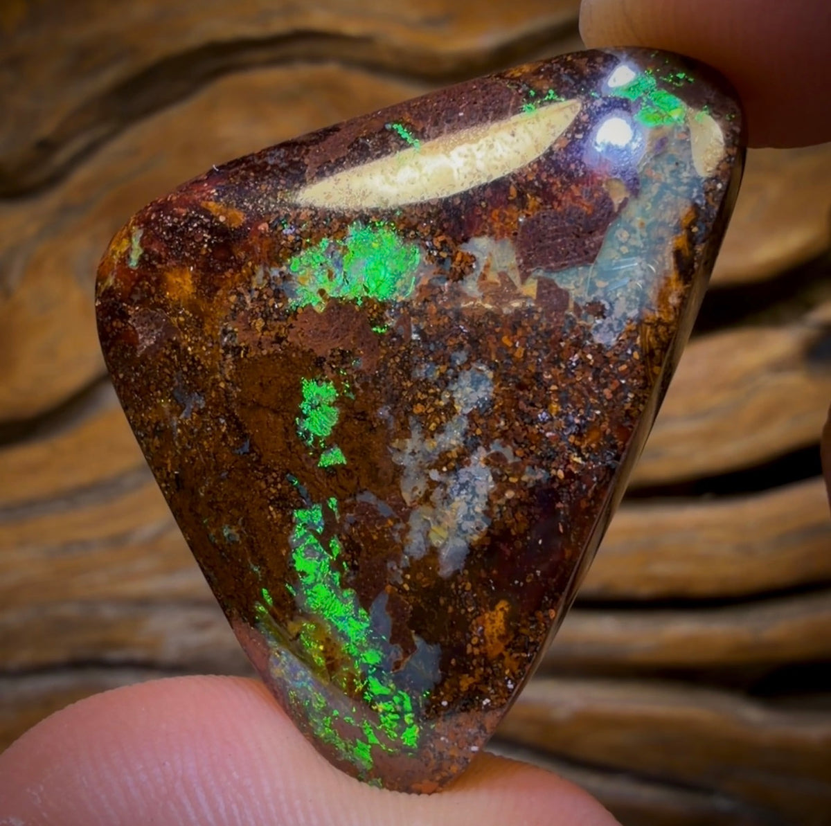 80.2cts - Queensland Boulder Opal from Yowah Big Flashy Bargain