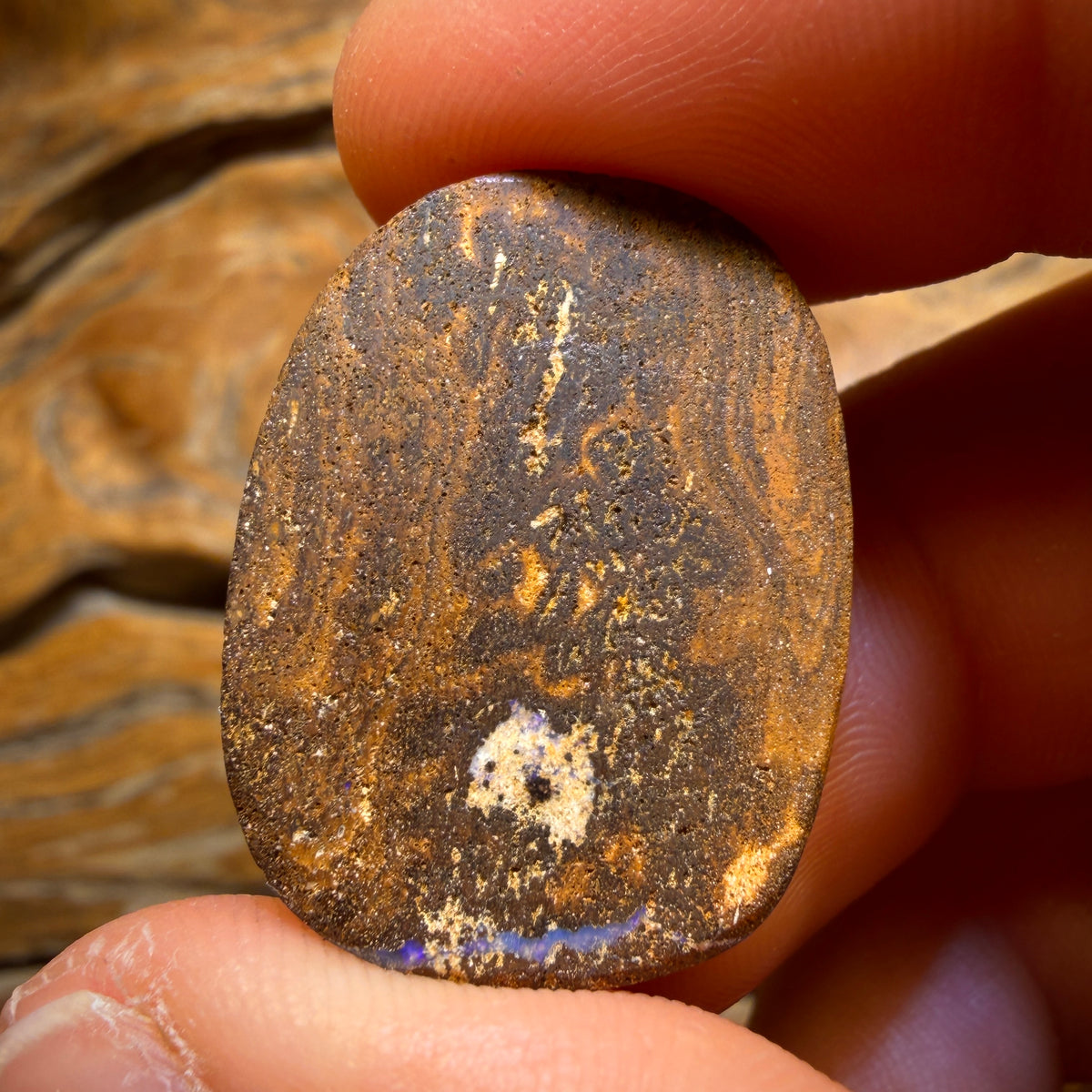 44.4cts - Queensland Boulder Seam Opal from Winton