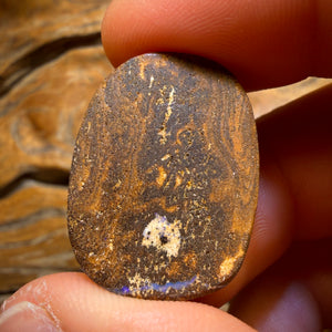 44.4cts - Queensland Boulder Seam Opal from Winton