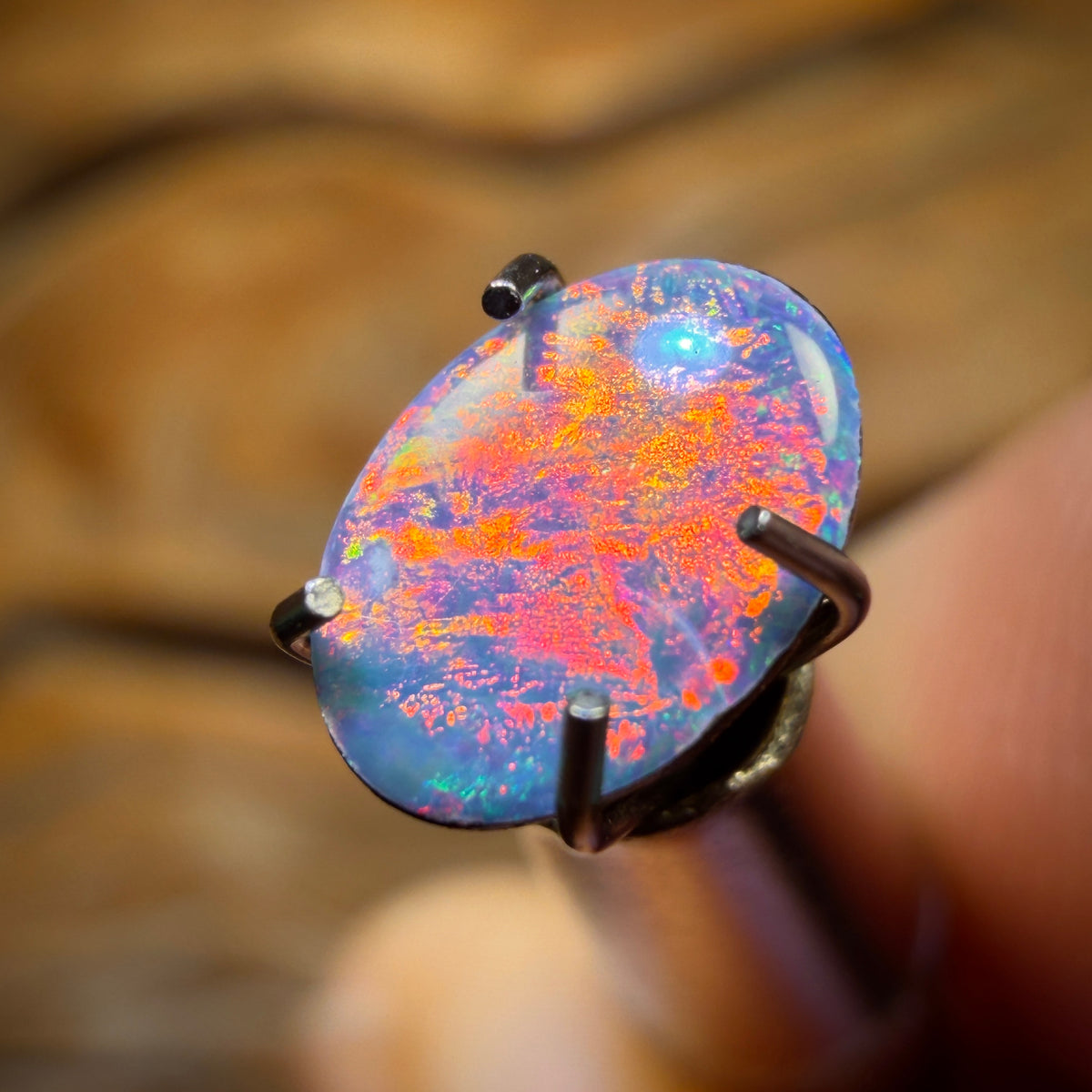 “Fire Sale” 0.45cts - Australian Boulder Opal Doublet