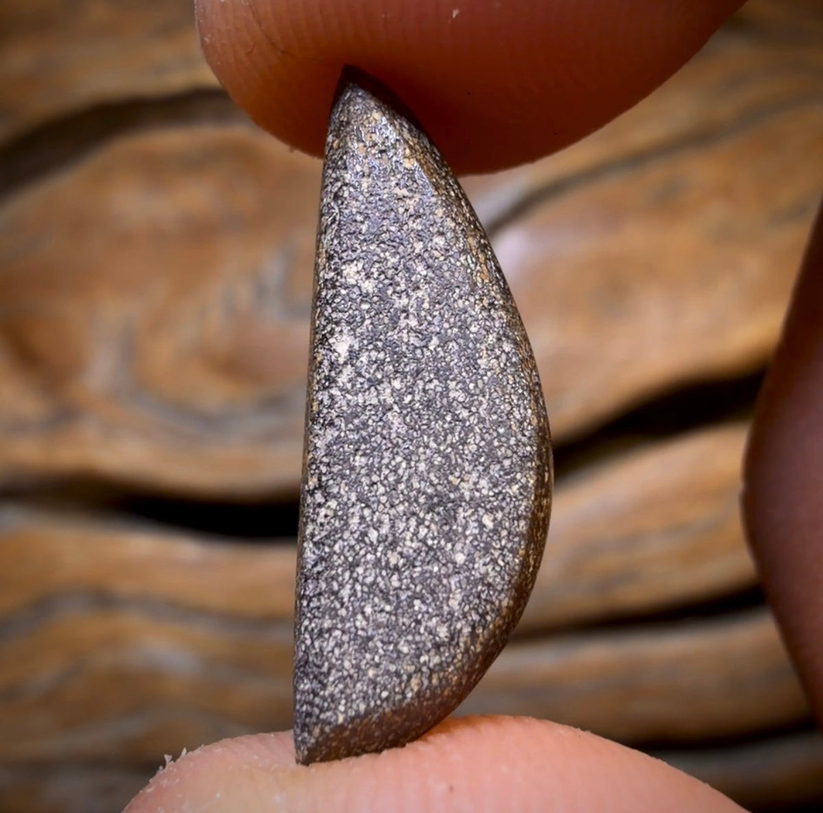 6.15cts - Queensland Boulder Seam Opal. Red Multicolours!