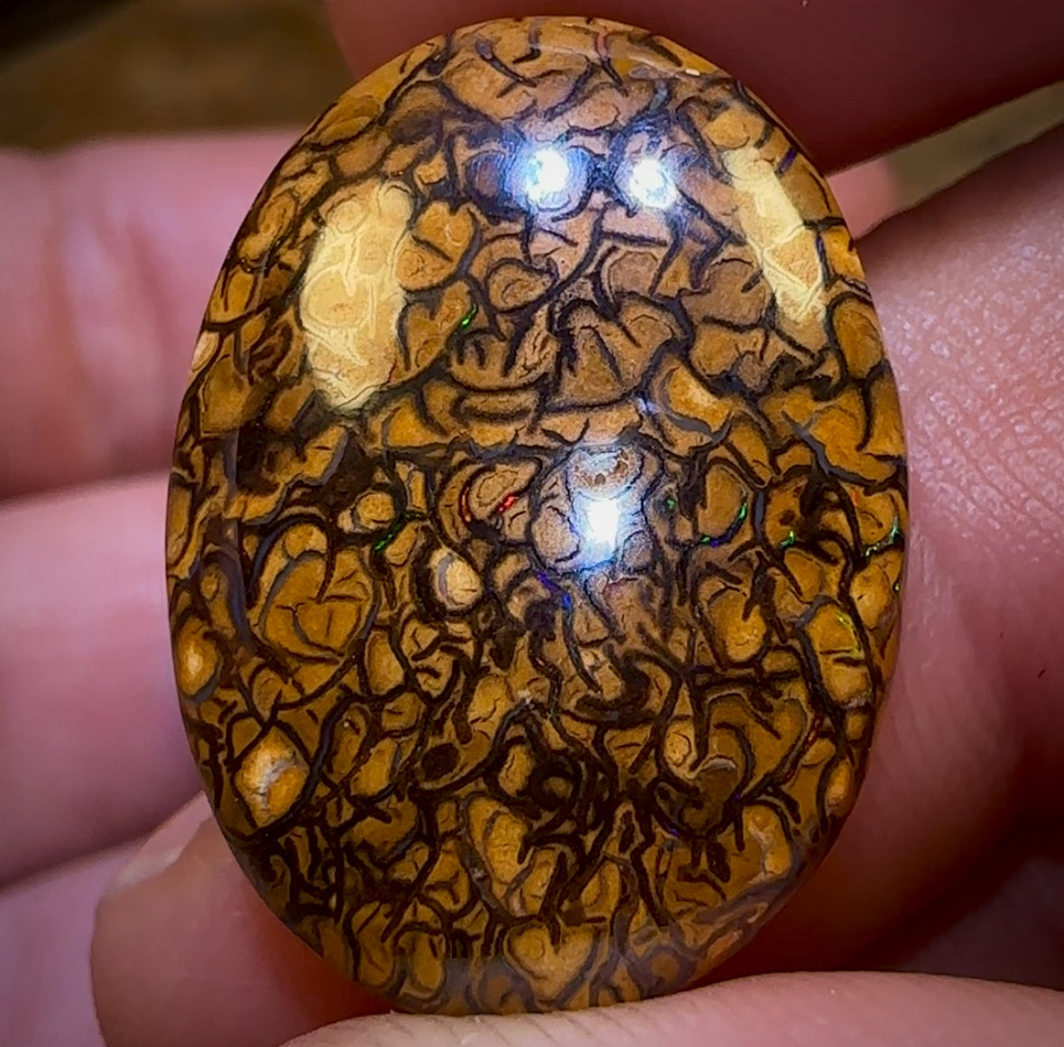 77.5cts - 3x Loose Queensland Boulder Opals. Wholesale Bargain Parcel