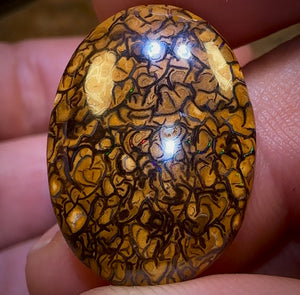 77.5cts - 3x Loose Queensland Boulder Opals. Wholesale Bargain Parcel