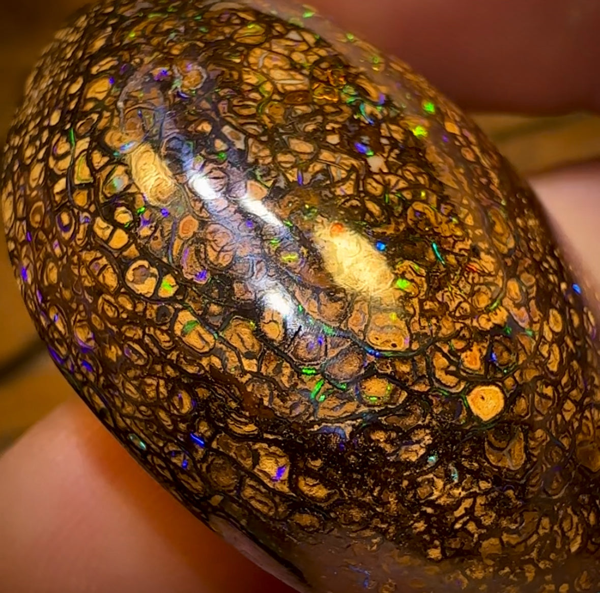 97.6cts - Large Thick Double Sided Tight Tribal Queensland Boulder Opal from Yowah