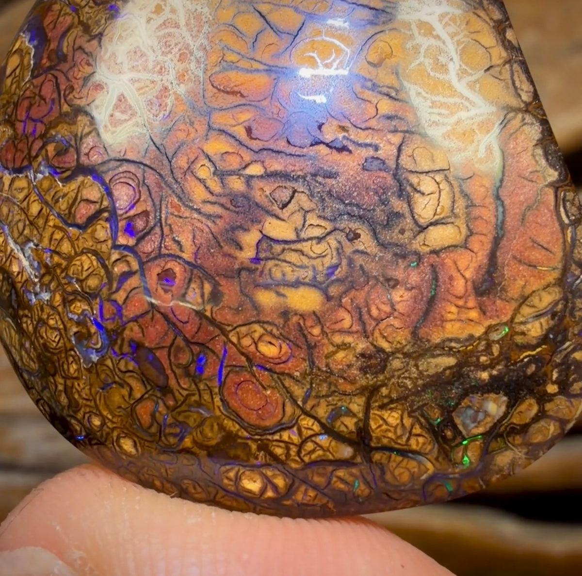 69,9 ct – Tribal Yowah Nut Opal. Australischer Opal.