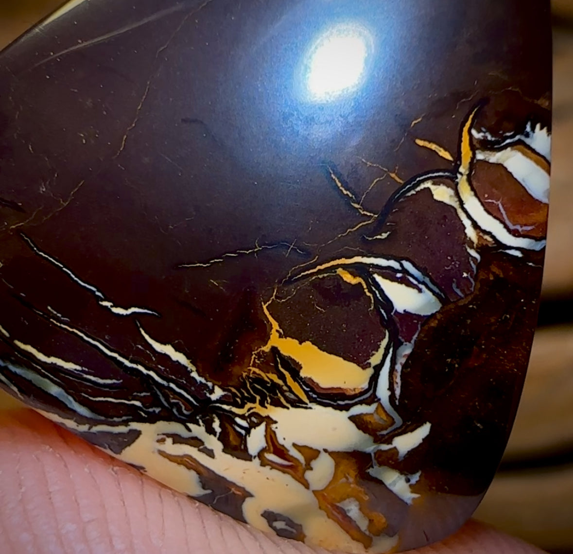 🔨 AUCTION 🔨 No Reserve 35.8cts - Tribal Pattern Queensland Boulder Opal from Koroit