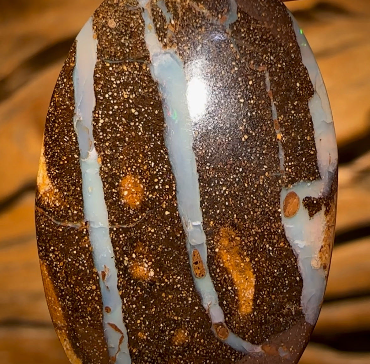 🔨 AUCTION 🔨 No Reserve 22.5cts - Queensland Boulder Seam Opal
