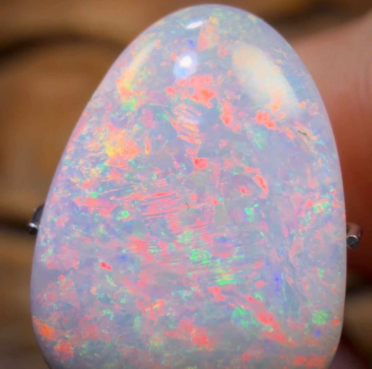4.4cts - GEM South Australian Dark Opal from Coober Pedy