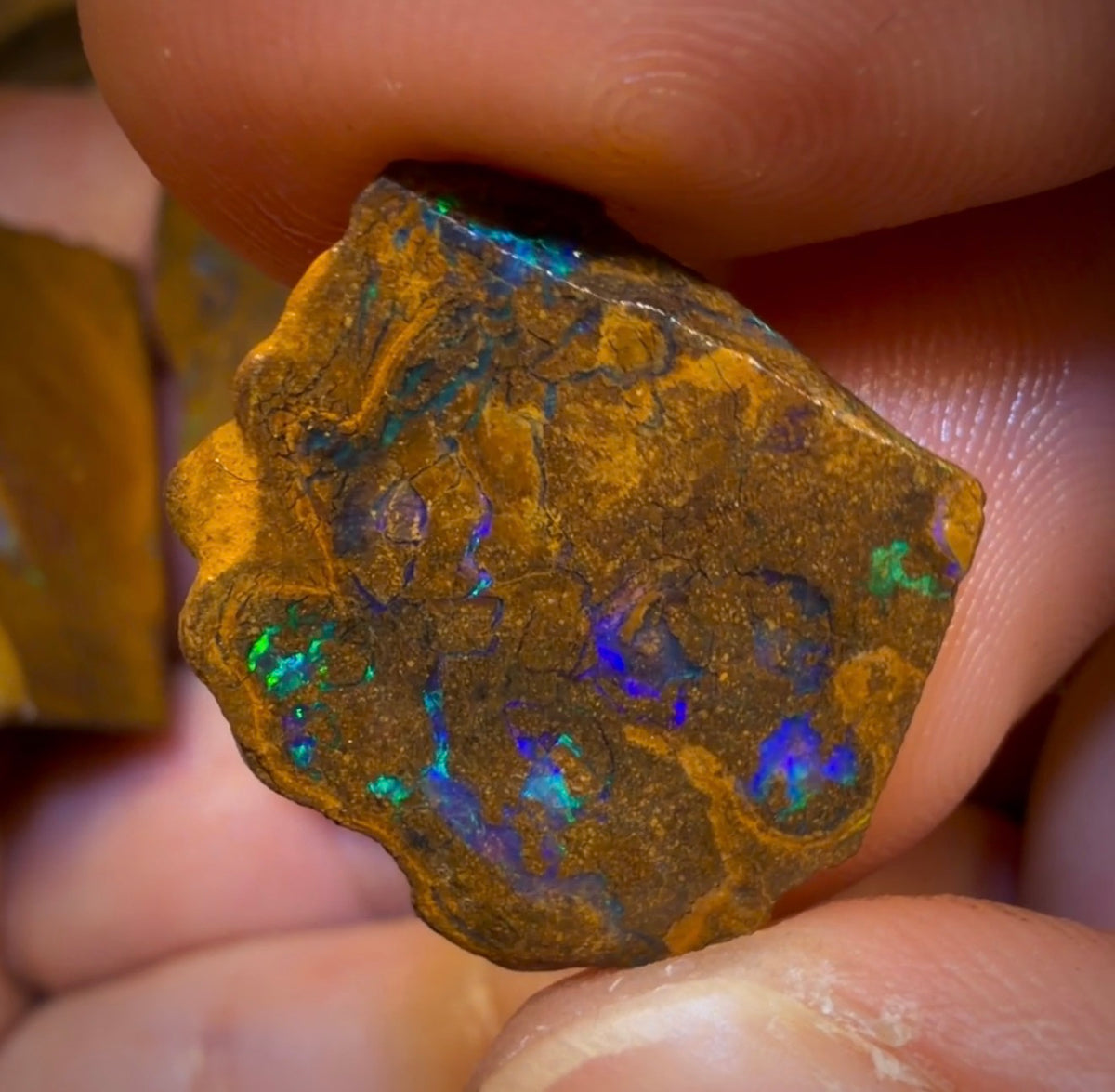 🔒154.7cts - 3x Australian Boulder Opal Rough Parcel