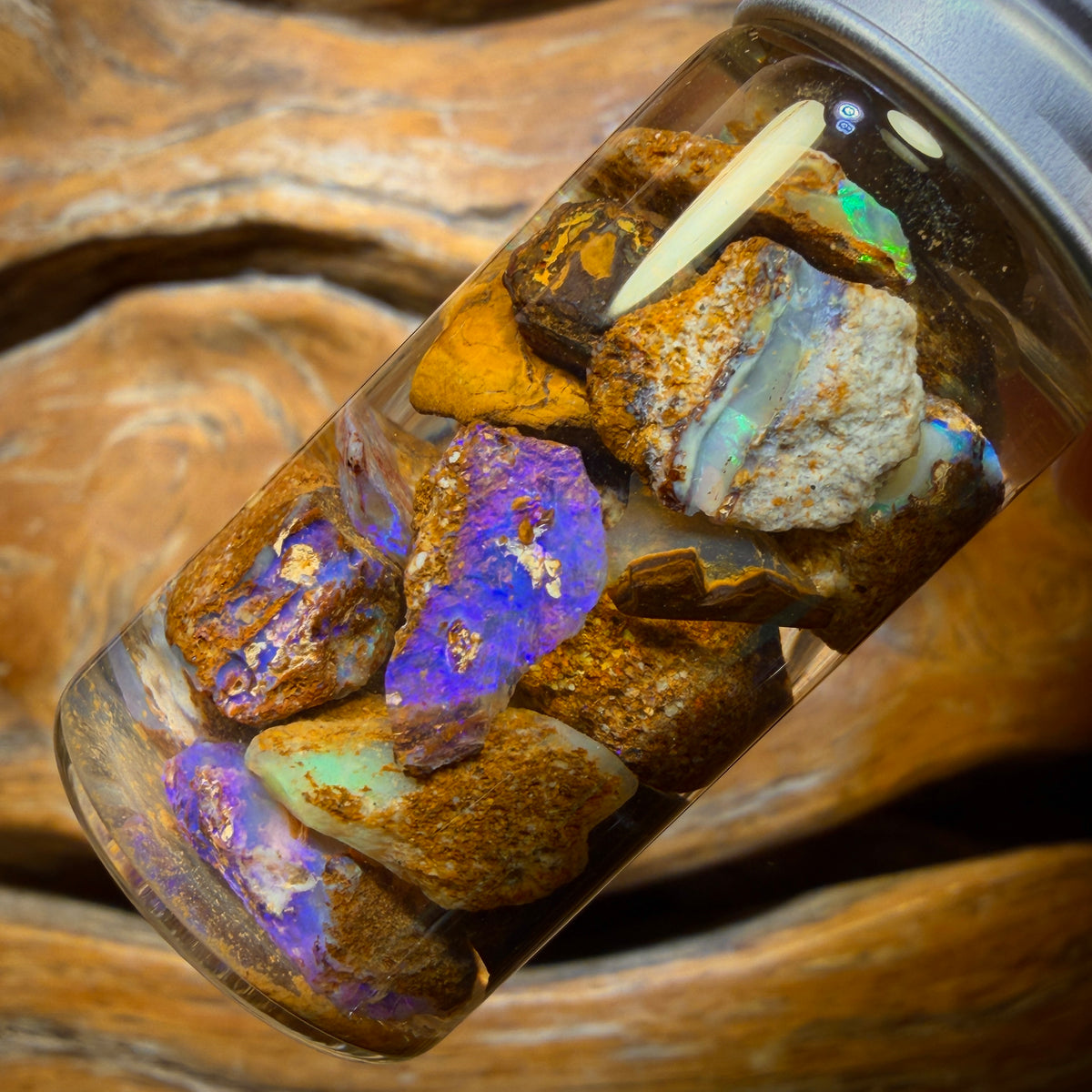69.4cts - Jar of Yowah Nut Opal Rough w/ Fossil Opal