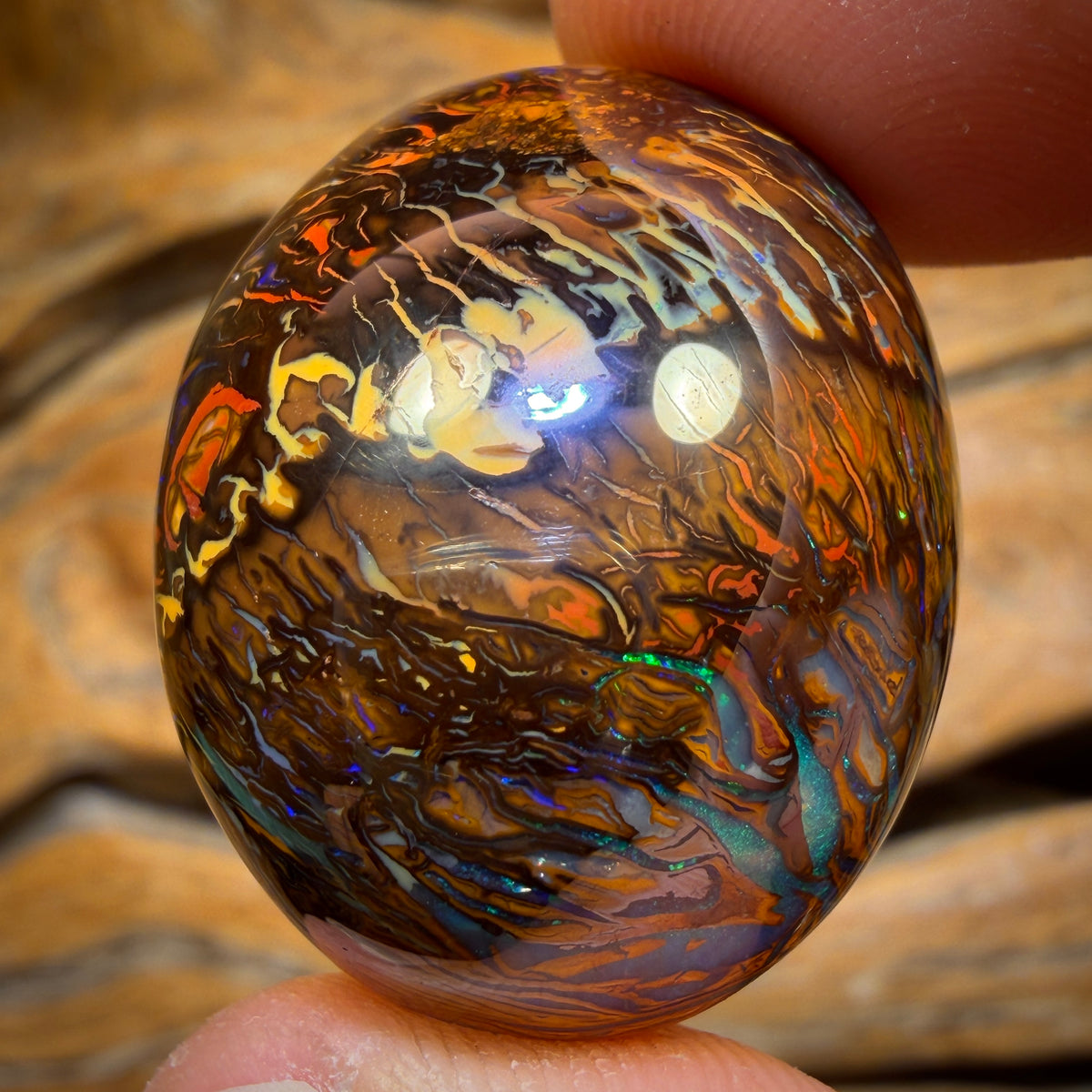 69.7cts - Tribal Queensland Boulder Opal from Yowah