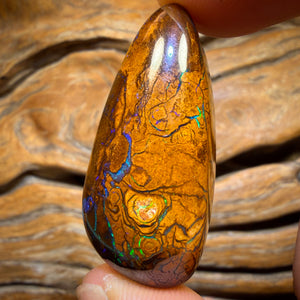 69.8cts - Tribal Queensland Boulder Opal from Yowah