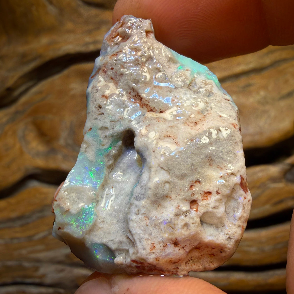 69.9cts - Lightning Ridge Dark Opal Rough Piece