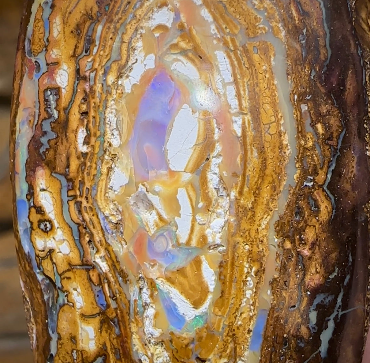 102.9cts - Australian Boulder Opal from Yowah Tribal Partial Kernel - Opal Whisperers