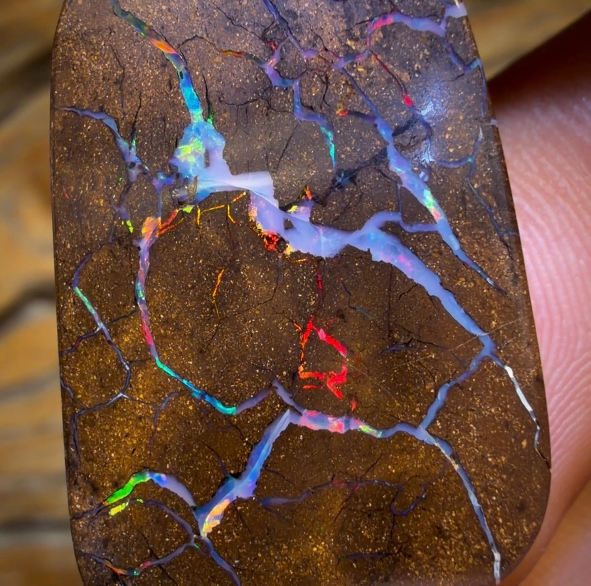 35.6cts - Queensland Boulder Seam Opal. Red Multicolours!