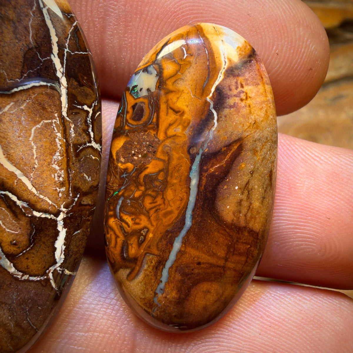 LATECARD! 64.8cts - “ One Was Big One Was Little” Tribal Queensland Boulder Opal Pair