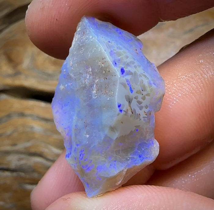 🔨 AUCTION 🔨 33.6cts - Lightning Ridge Opal Rough Piece